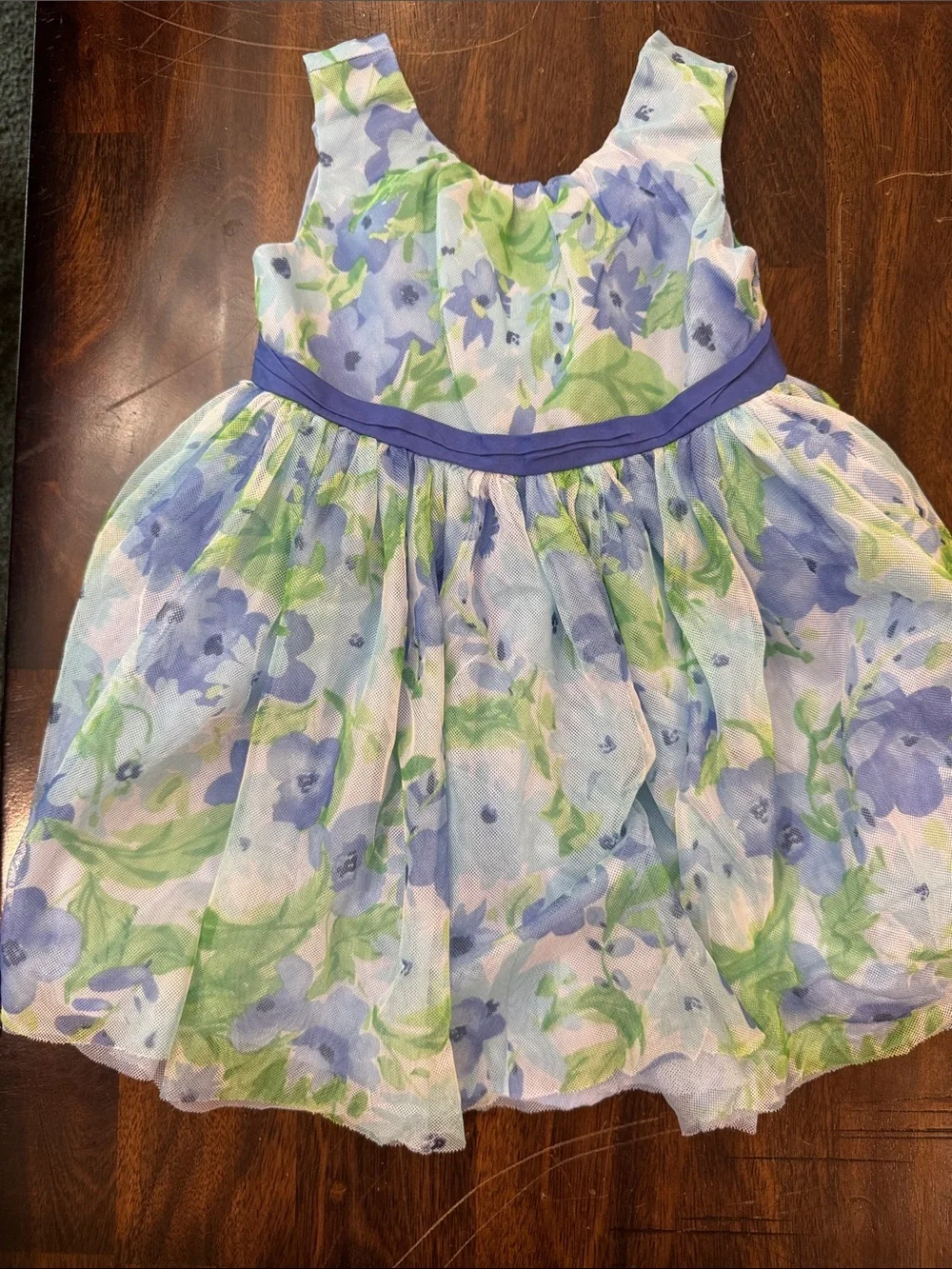 Gymboree Blue and Green Floral Party Dress